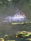 20210827_130643.webp