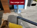 Screenshot_2021-08-29-22-10-49-51_965bbf4d18d205f782c6b8409c5773a4.webp
