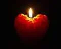 ! Light on the way.webp