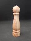 DSCN3002.webp