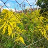 20210830_144457.webp