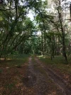 IMG_20210901_154223.webp
