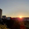 20210903_191800.webp