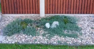 20210905_121132 (2).webp