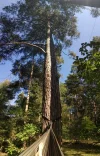 PANO_20210909_142706.webp