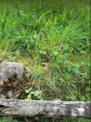 Screenshot 2021-09-09 195059.webp