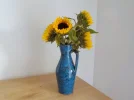 DSCN4670.webp