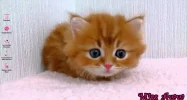 Unbenannt.webp