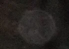 DSCF0513.webp
