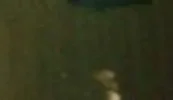 1376124982620.webp