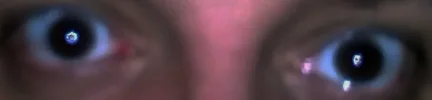 4.webp