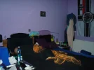 DSC01382.webp