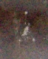 ALIM6296.webp