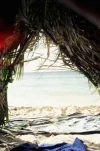 016_14A.webp