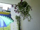 fotos alt 347.webp