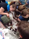 UkraineOdessa5.webp