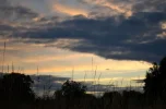 053m.webp
