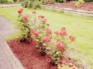 0471.webp