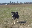 7blhliu.webp
