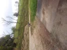 20141026_144007.webp