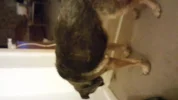 20141102_021247.webp