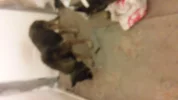 20141102_021523.webp