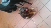 20141102_113557.webp