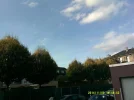 DSCF0072.webp