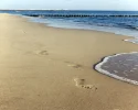 Engel wollen gar nicht fliegen