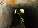 Orbs ???