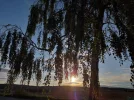 20210827_190229.webp
