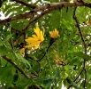 IMG_2021-09-14-14-14-44-465_2.jpg..neu.webp