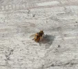 20210914_122035.webp