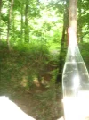 Flaschengeist.webp
