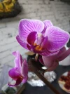 IMG_20210918_173710.webp