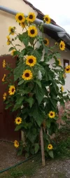 20210920_125616 (2).webp