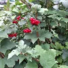 20210921_101024.webp