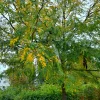 20210921_100752.webp