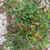 20210921_103720 (2).webp