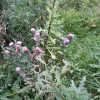 20210921_095330.webp
