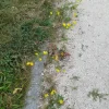 20210921_095300.webp