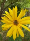 20210915_113153.webp