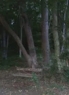 20210921_190039 (2).webp