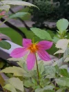 20210919_123004.webp