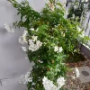 20210922_075756.webp