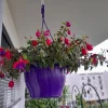 20210922_075901.webp