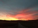20210923_190834.webp