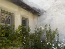 DSCN4697.webp