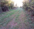IMG_20210925_173028.webp