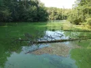 IMG_20210926_134026.webp